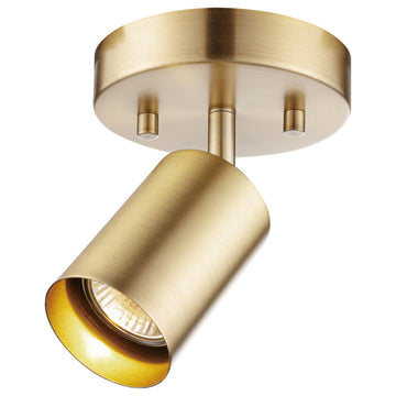 Pratt 1-Light Track Lighting Spotlight, Matte Brass