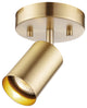 Pratt 1-Light Track Lighting Spotlight, Matte Brass