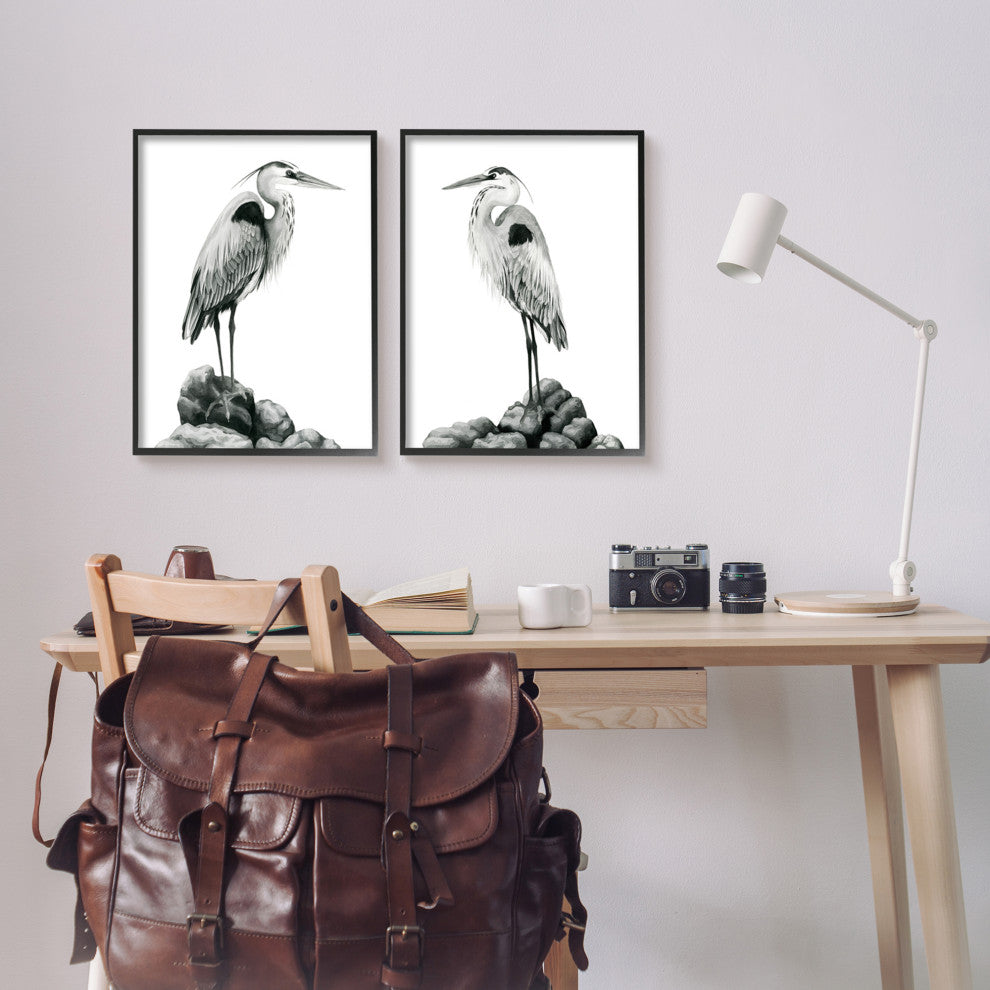 Great Herons Standing Rocks Black White Bird Portraits,16 x 20