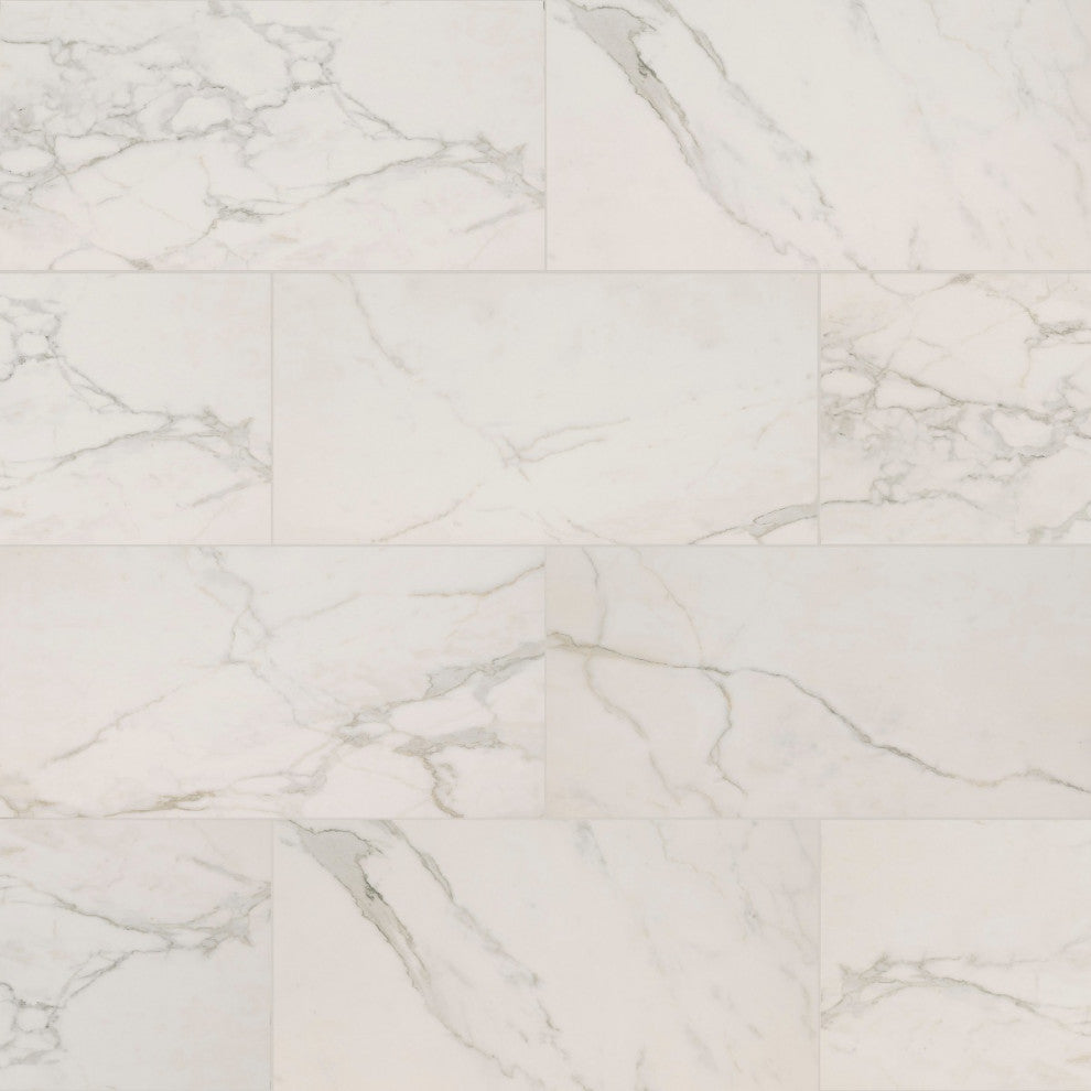 Regallo Calacatta Isla 24X24 Matte Porcelain Tile, (4x4 or 6x6) Sample