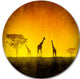 African Sunset Aura, Landscape Large Disc Metal Wall Art, 11"