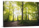 "Natural Light" Wrapped Canvas Art Print, 24"x16"x1.5"