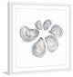 Marmont Hill, "Oysters" by Thimble Sparrow Framed Painting Print, 18x18