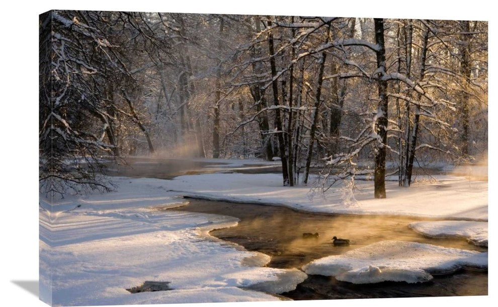 "The First Light" Stretched Canvas Giclee by Robin Eriksson, 30"x20"