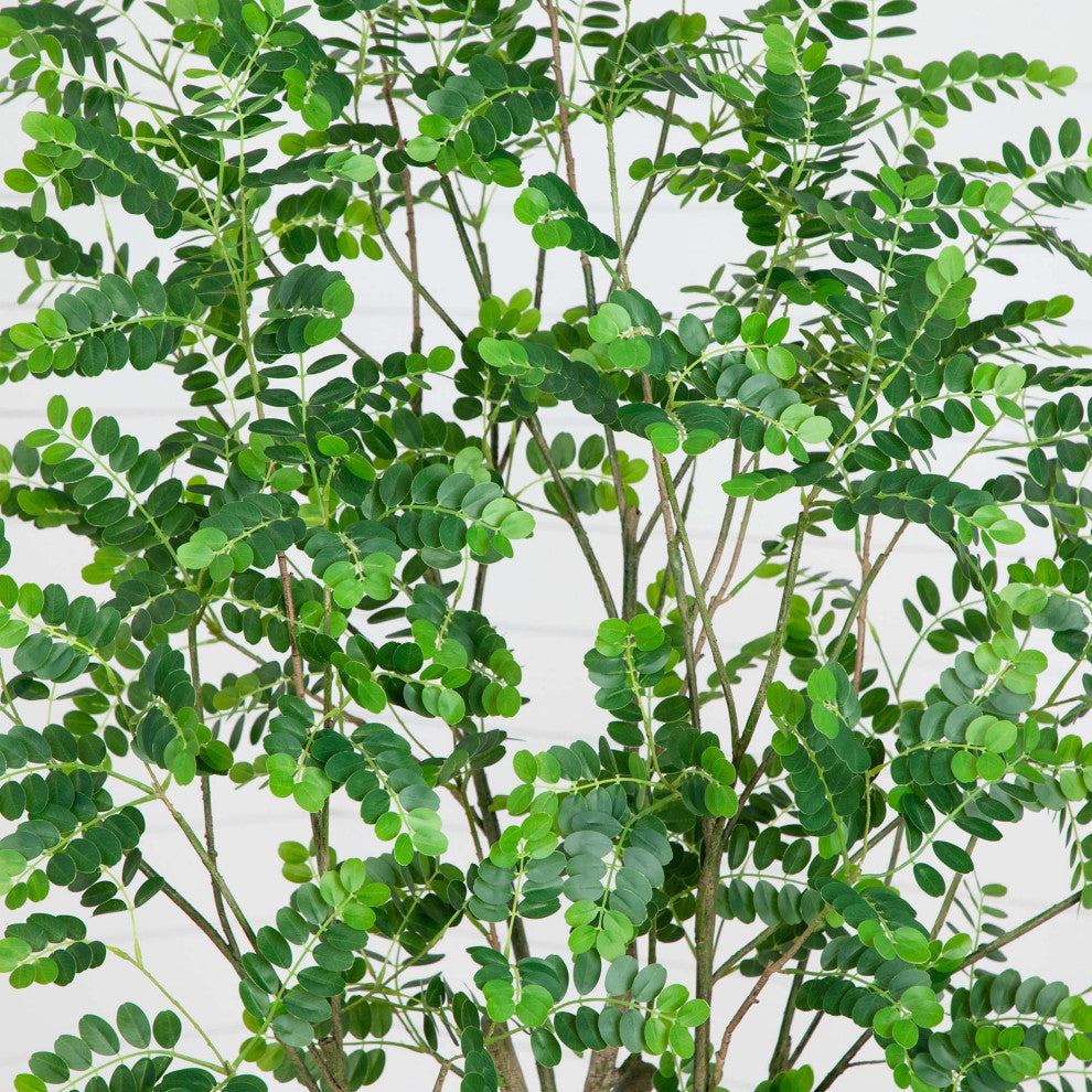 Close-up crop of leaves on white background.