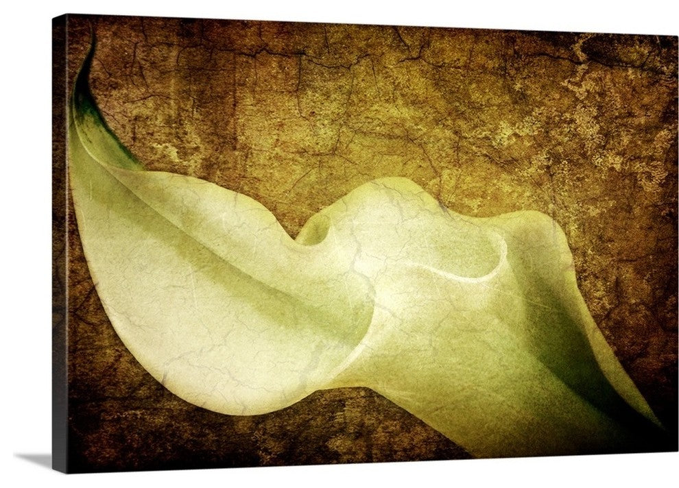 "Immortal Passion" Wrapped Canvas Art Print, 24"x16"x1.5"