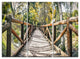 "Wooden Bridge in Forest" Wooden Sea Bridge Metal Wall Art, 3 Panels, 36"x28"