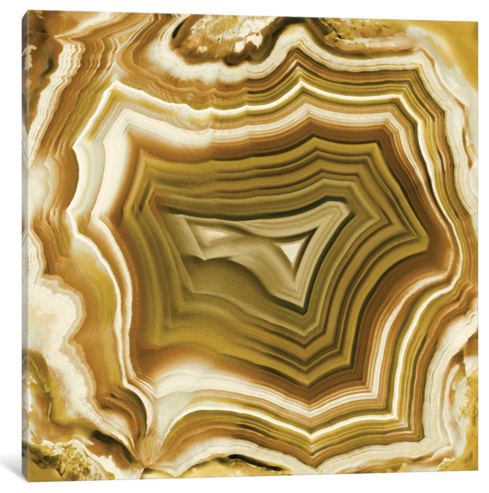 "Agate In Amber" by Danielle Carson, Canvas Print, 26"x26"