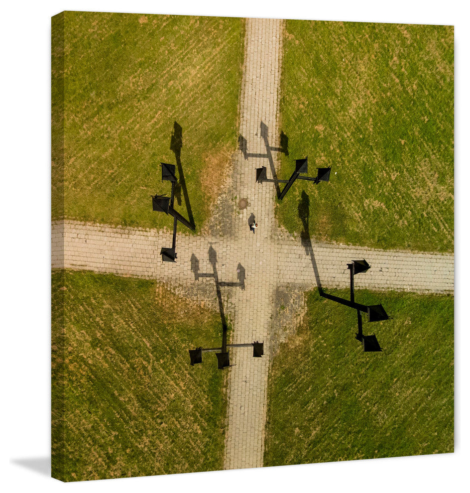 "Weather Vanes" Print on Canvas by Karolis Janulis