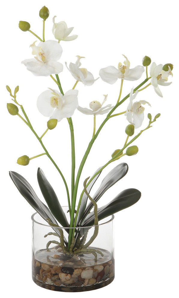 Uttermost Glory Orchid