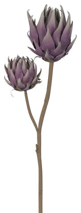 Vickerman 26.5" Light Purple Protea Stem 2/Bag. Features two protea heads.