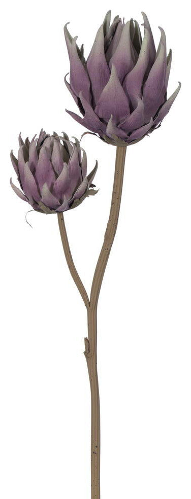 Vickerman 26.5" Light Purple Protea Stem 2/Bag. Features two protea heads.
