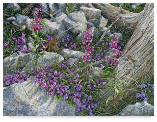 Jeff Tift 'Squirrel Painting' Canvas Art, 24"x18"