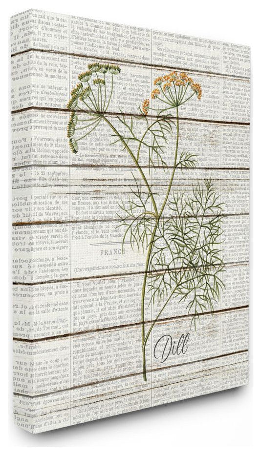 Dill Vintage Herb Kitchen Dining Room Word Collage , 24"x30"