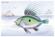 The Dory - Gallery Wrapped Canvas Art 28" x 42"