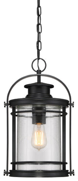Quoizel BKR1510 Booker 9"W Pendant - Mystic Black