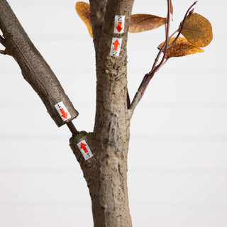 Close-up of trunk with assembly/label indicators (instructional).