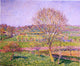 Camille Pissarro Big Walnut Tree at Eragny, 20"x25" Wall Decal