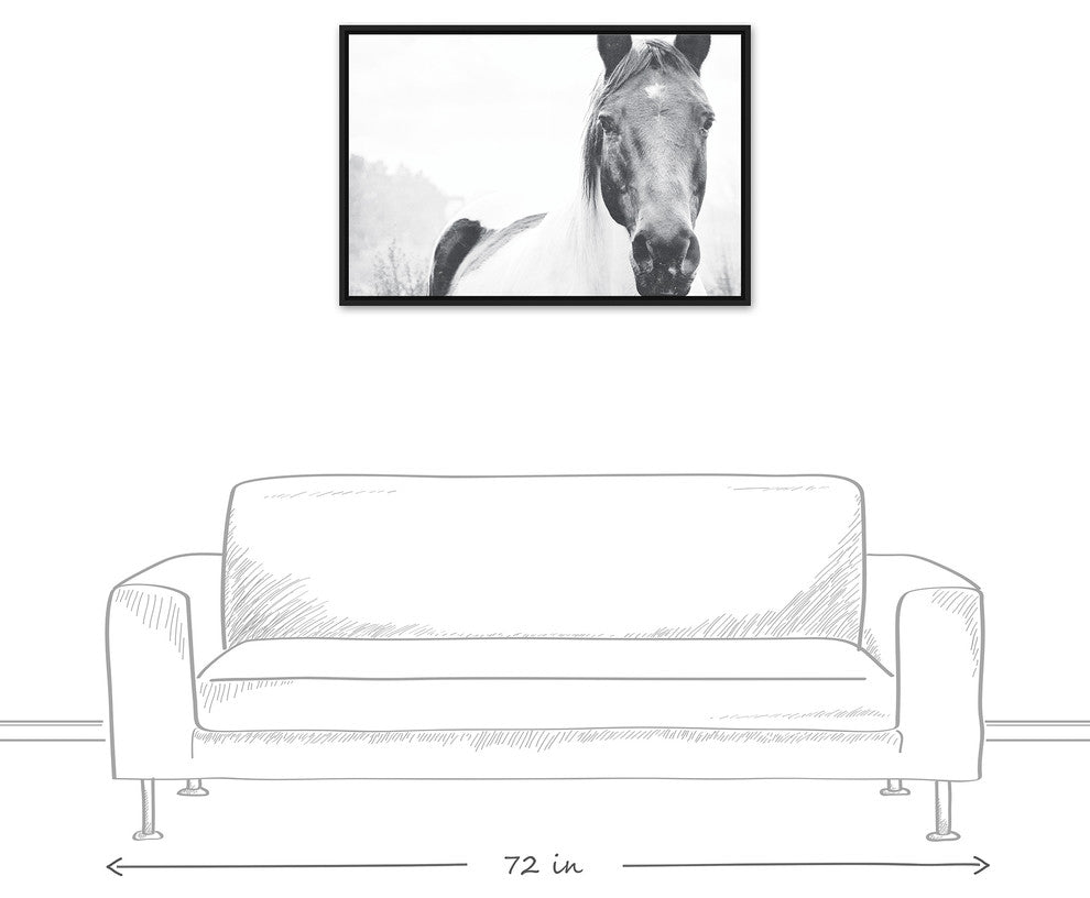 Black and White Lone Horse 24x36 Black Floating Framed Canvas
