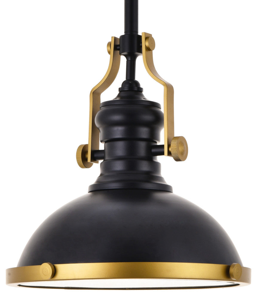 Elegant Lighting LD5001D13 Eamon 13"W Pendant - Matte Black
