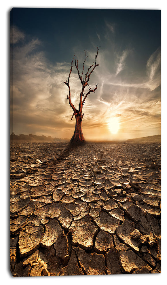 Lonely Dead Tree in Cracked Land, Large Landscape Canvas Art, 16"x32"