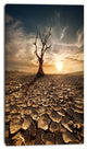 Lonely Dead Tree in Cracked Land, Large Landscape Canvas Art, 16"x32"