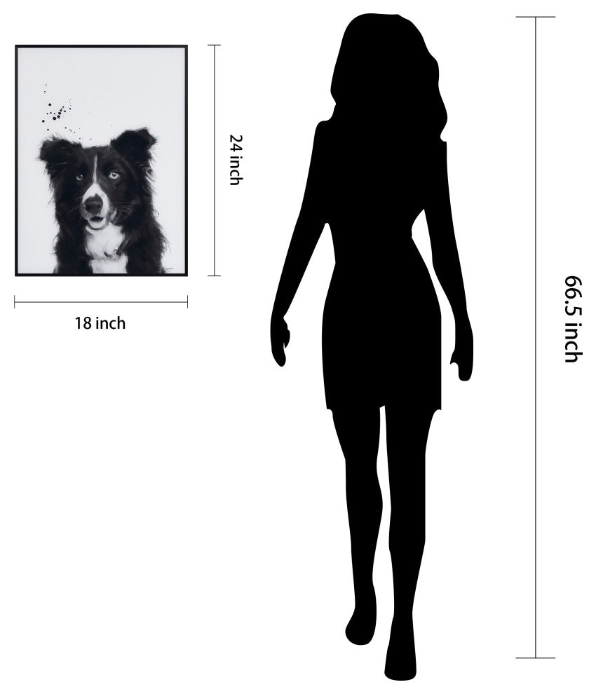 "Border Collie" Black and White Pet Art on Printed Glass with Anodized Frame