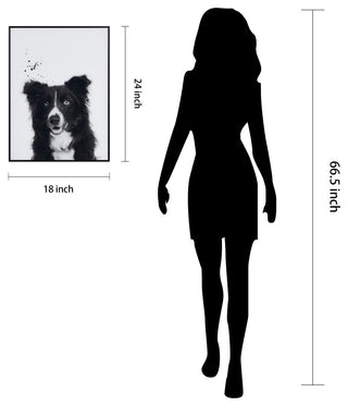 "Border Collie" Black and White Pet Art on Printed Glass with Anodized Frame