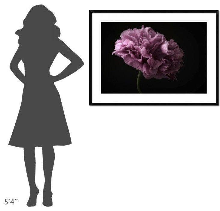"Poppy" Framed Digital Print by Lotte Gronkjaer, 44x32"