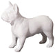 French Bulldog, Gel Coat White