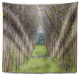 Pathway Through Fall Green Trees Landscape Photography Wall Tapestry, 39"x32"
