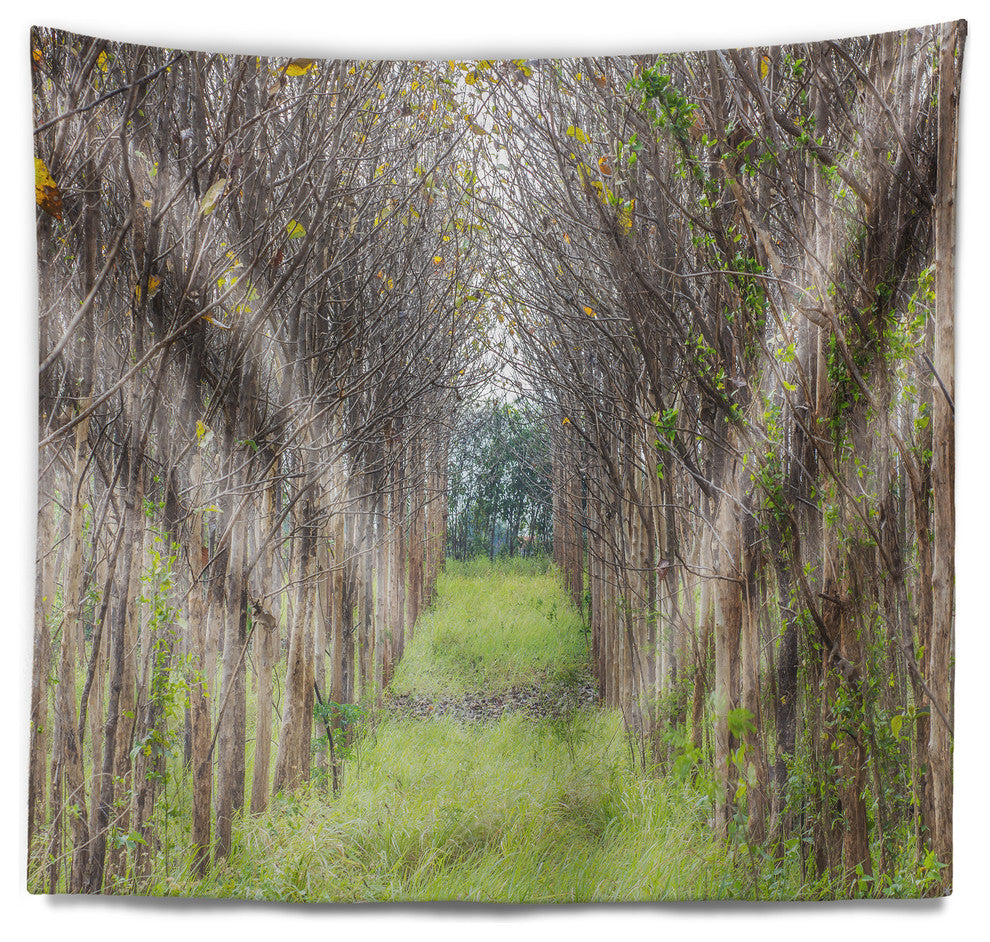 Pathway Through Fall Green Trees Landscape Photography Wall Tapestry, 39"x32"