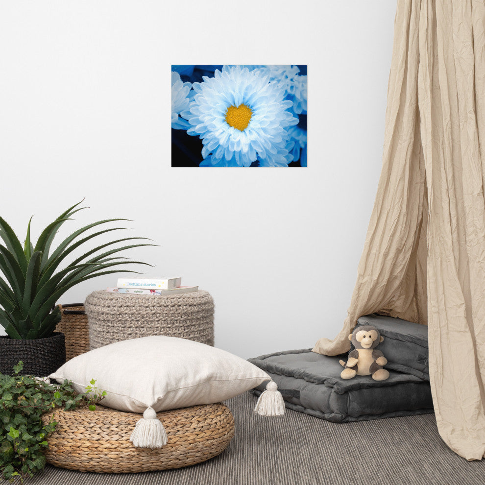 Blue Tinted Chrysanthemums Floral Nature Photo Loose Wall Art Print, 18" X 24"