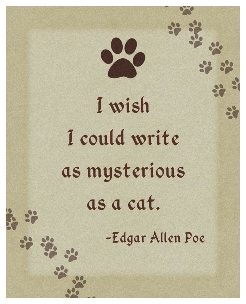 "Edgar Allen Poe: Mysterious" Digital Paper Print by BG.Studio, 24"x30"