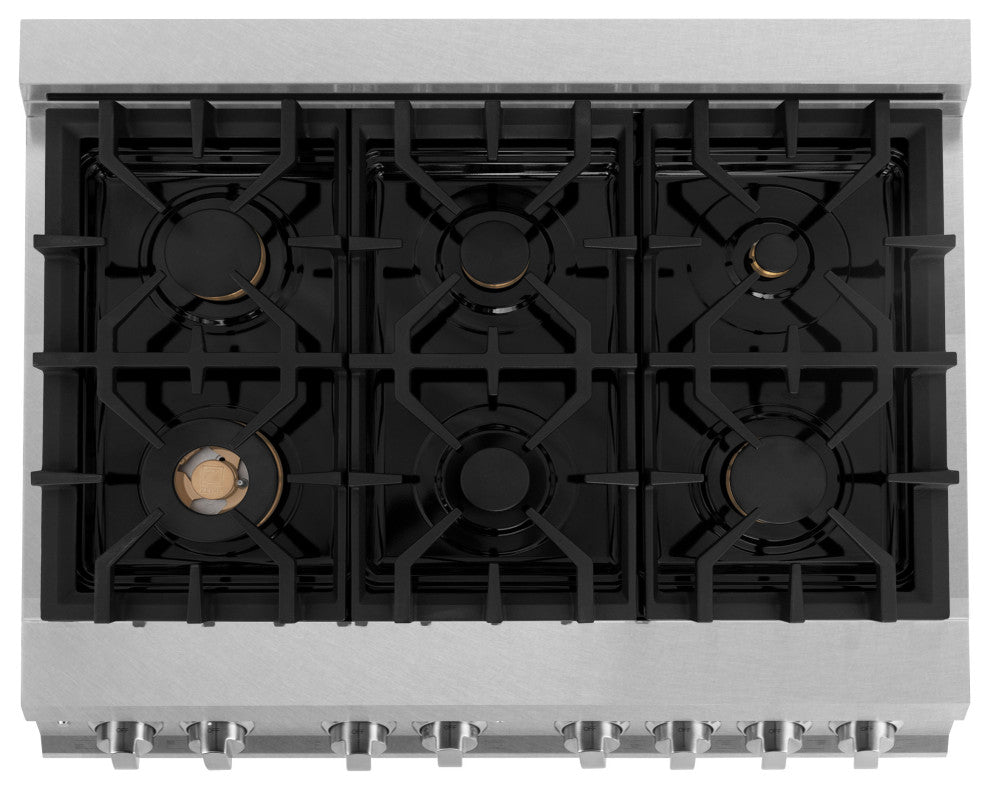 ZLINE Dual Fuel Range, DuraSnow Stainless Steel, RASZ-BLM-36-G