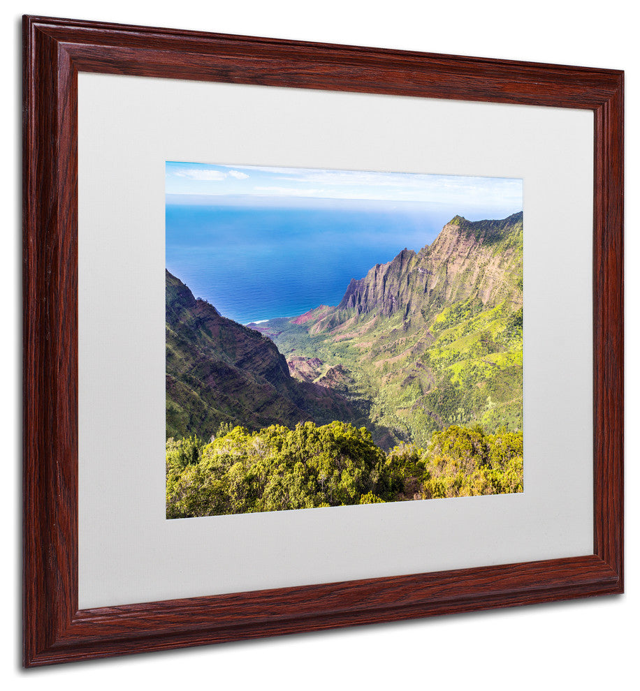 Pierre Leclerc 'Kalalau Valley' Matted Framed Art, Wood Frame, White, 20x16