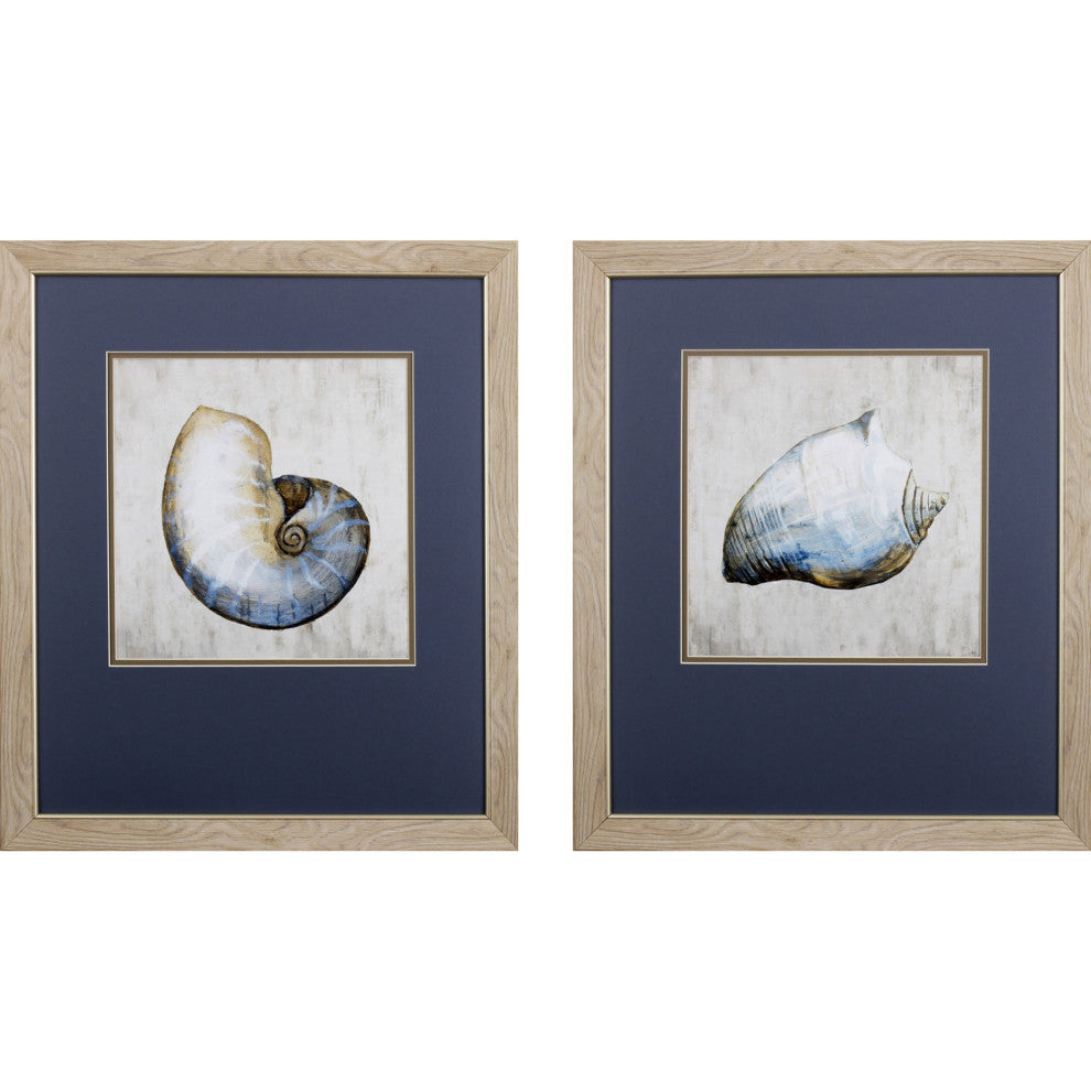 Simple Shell Wall Art, 2-Piece Set