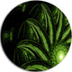 Strange Green Flower, Floral Digital Art Round Metal Wall Art, 11"