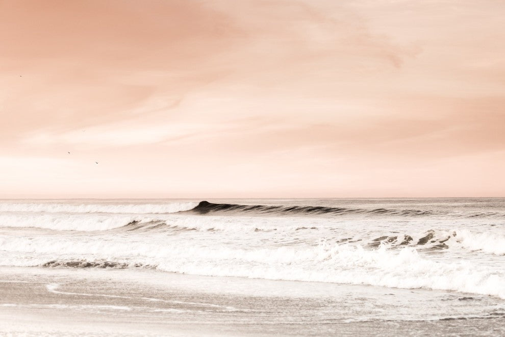 Marmont Hill, "Feathered Dawn" by Morgan Hartley Print on Wrapped Canvas, 24x16