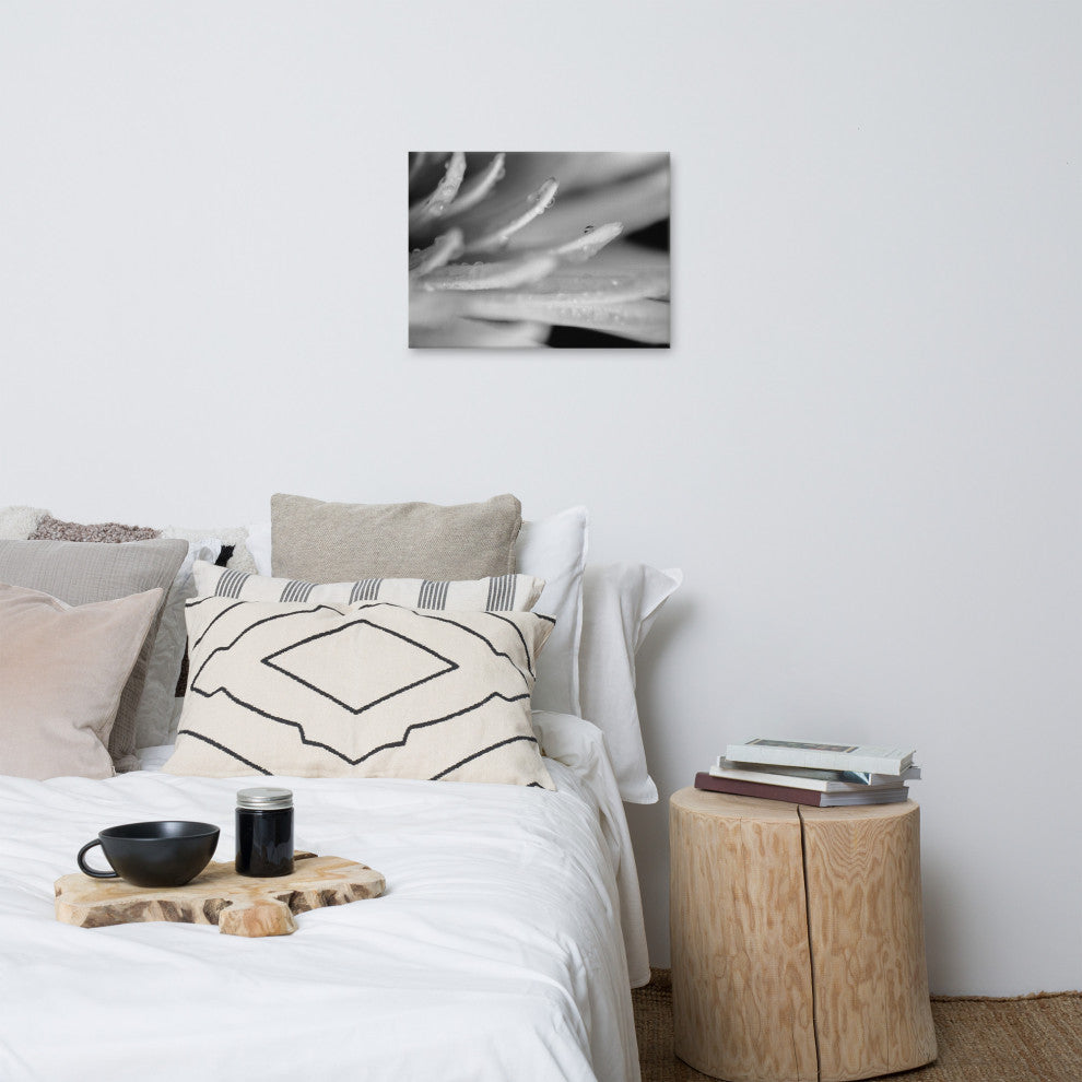 Droplets on Petals Floral Nature Photography Canvas Wall Art Print, 18" X 24"