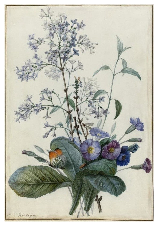 "A Bouquet of Flowers with Insects" Print by Pierre Joseph Redoutï¿½, 18"x26"