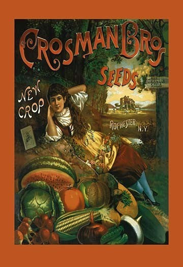 Crosman Brothers Seeds: New Crop - Gallery Wrapped Canvas Art 28" x 42"
