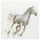 "Stallion I" Digital Paper Print by James Wiens, 20"x20"
