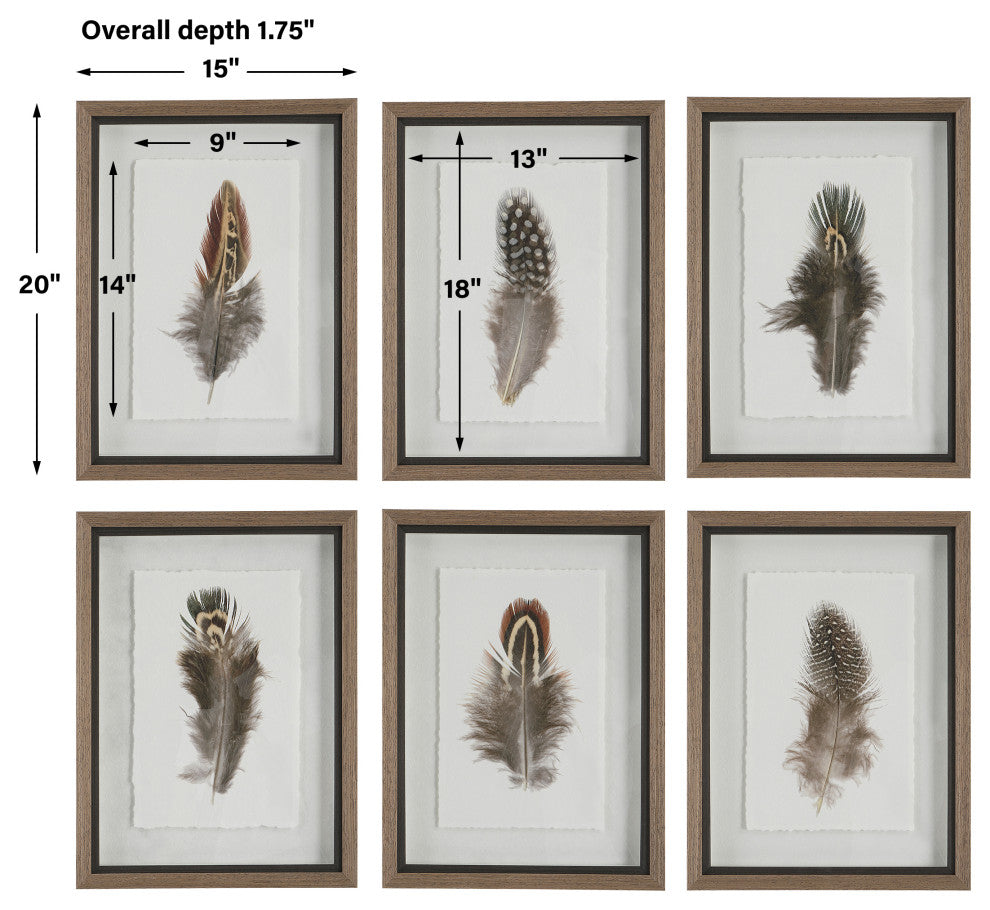 Uttermost Birds Of A Feather Plastic & Paper Prints in Brown/White (Set of 6)