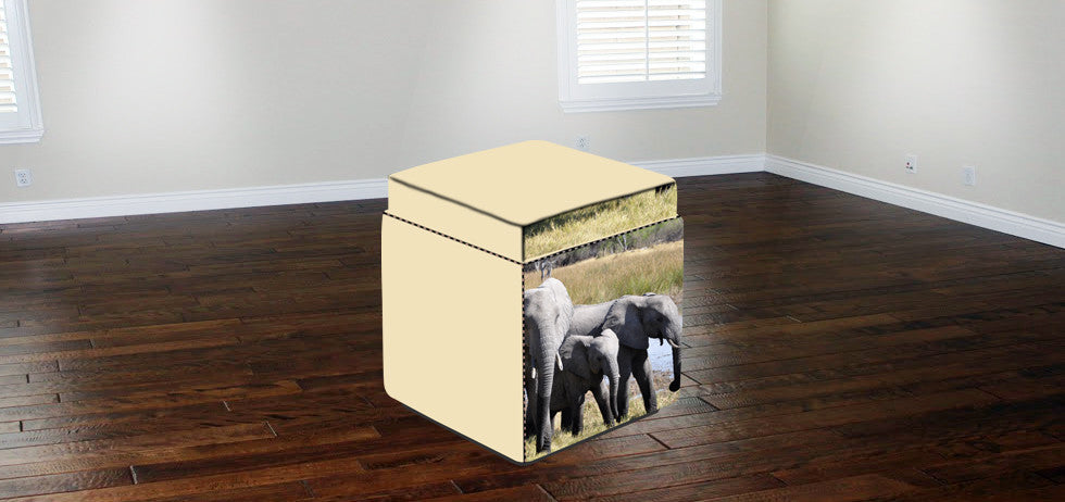 "Elephant 55" Ottoman, 2-Sided With Storage, Square