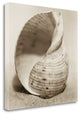 "La Playa No4" By Alan Blaustein, Giclee Print on Gallery Wrap Canvas