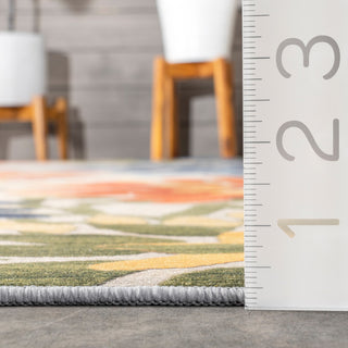 Nuloom Rosana Floral Machine Washable Indoor/Outdoor Area Rug, Multicolor 3'x5'