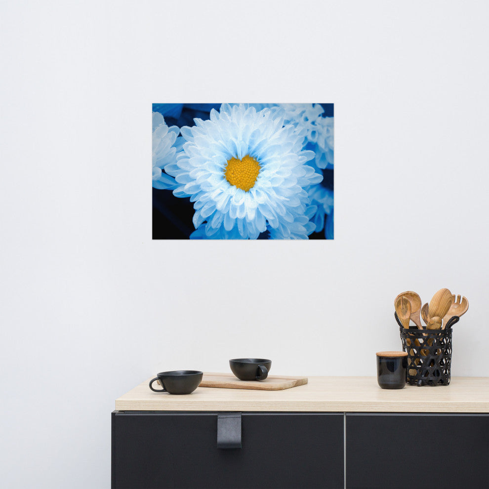 Blue Tinted Chrysanthemums Floral Nature Photo Loose Wall Art Print, 18" X 24"