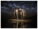 Elephants Watering in the River, Animal Canvas Wall Art, 40"x30"