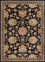 Charlotte Traditional Oriental Black Rectangle Area Rug, 5'x7'